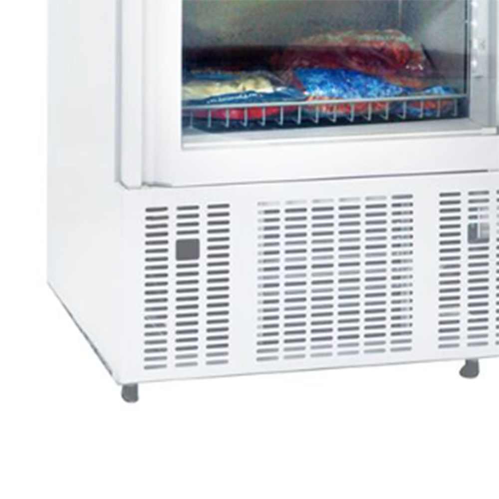 Vitrina congelare verticala FRENOX, cu 1 usa din sticla, 650 lt - 2