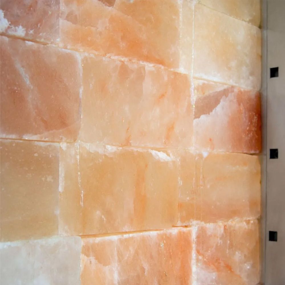 Dulap frigorific vertical inox, maturare carne FRENOX, cu 2 usi, 198 lt - 4