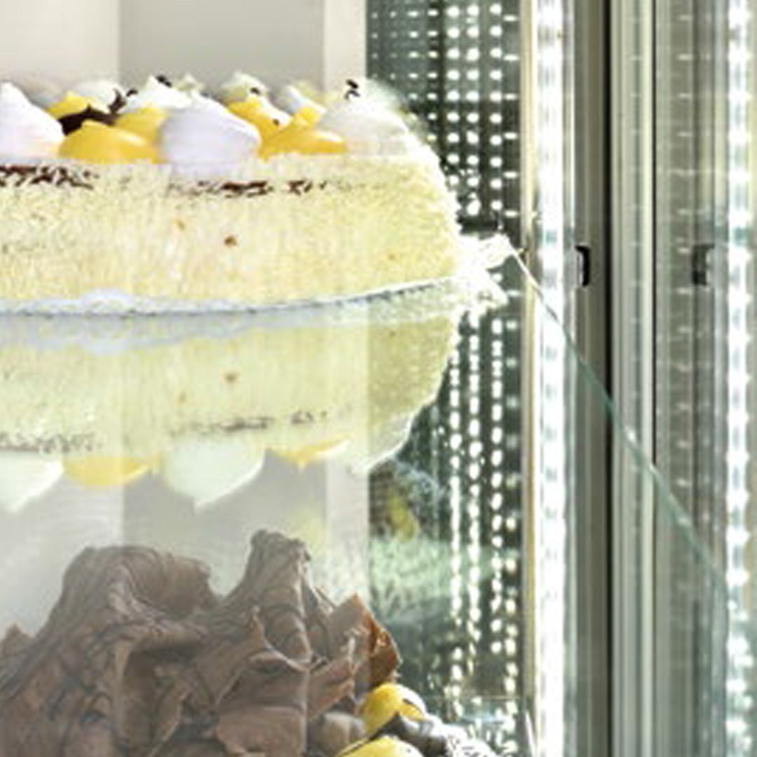 Vitrina congelare  verticala cofetarie gelaterie 848 lt - 4