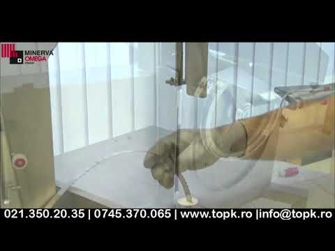 Fierastrau oase LA MINERVA, profesional, electric, inox, banda 205 cm - 6